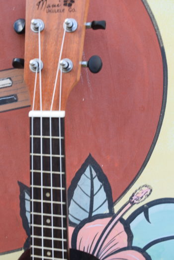 Maui Ukulele Co. Ovation Soprano - Image 3