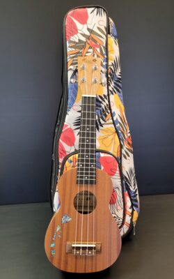 Ukulele Accessories