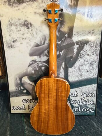 Maui Ukulele Co. - Koa Tenor Glossy Collection - Image 11